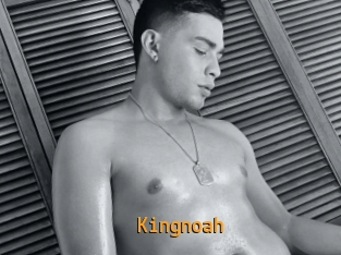 kingnoah Sexcam Portal