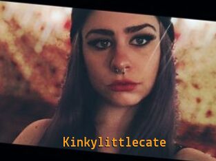 Kinkylittlecate