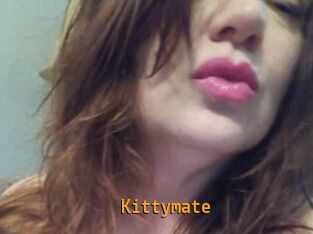 Kittymate