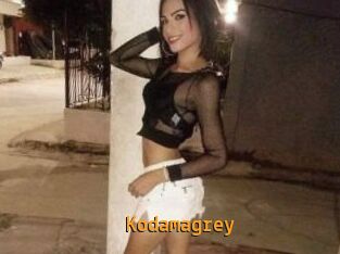 Kodamagrey
