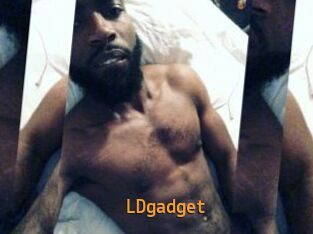 LDgadget