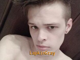 LapkinGray