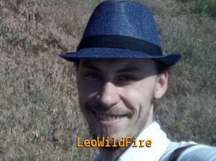 LeoWildFire