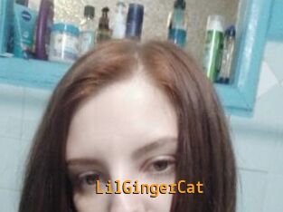 LilGingerCat