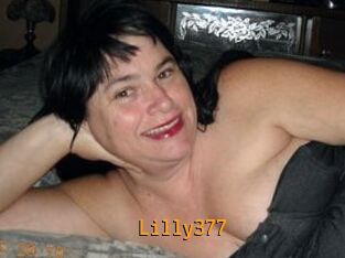 Lilly377