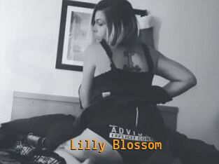 Lilly_Blossom