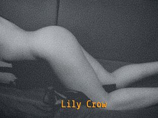 Lily_Crow
