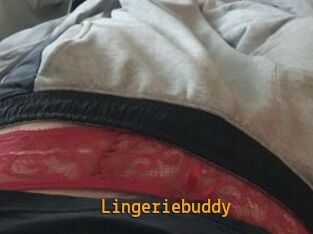 Lingeriebuddy
