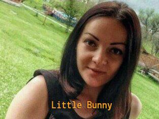 Little_Bunny_