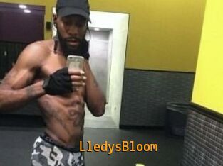 Lledys_Bloom