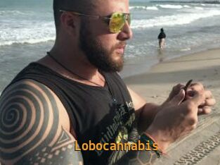 Lobocannabis