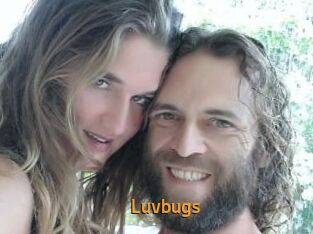Luvbugs