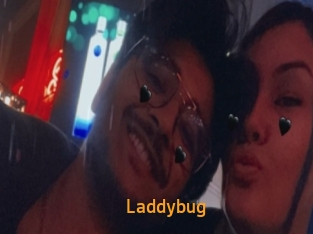 Laddybug