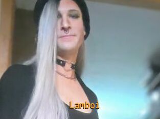 Lamboi