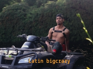 Latin_bigcrazy