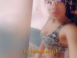Latinbadrabbit
