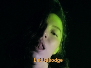 Leilabodge