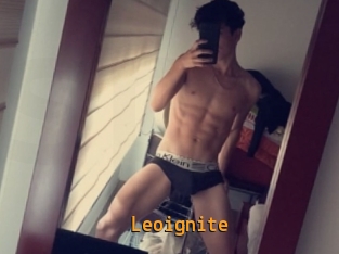 Leoignite