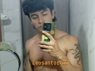 Leosantoro22