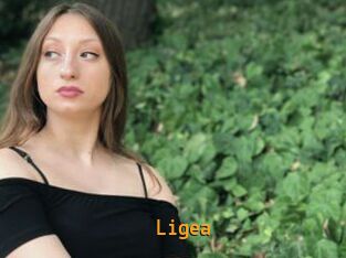 Ligea