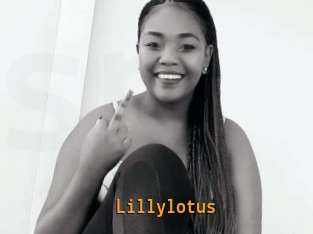 Lillylotus