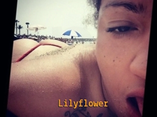 Lilyflower