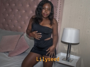 Lilyseed