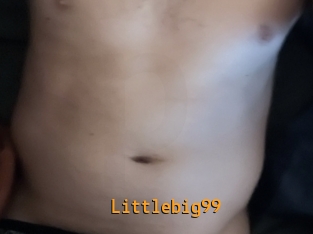 littlebig99 Sexcam Portal