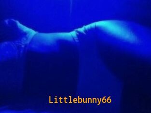 Littlebunny66