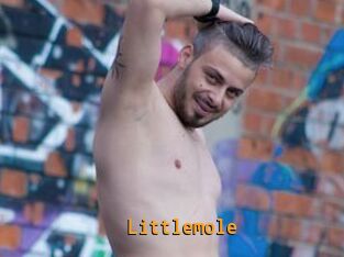 Littlemole