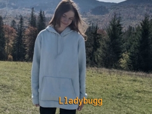 Lladybugg
