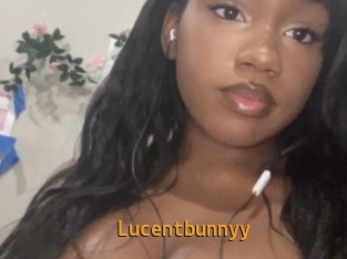 lucentbunnyy Sexcam Portal