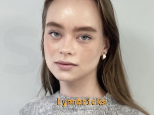 Lynnbricks