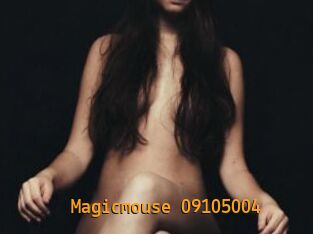 Magicmouse-09105004