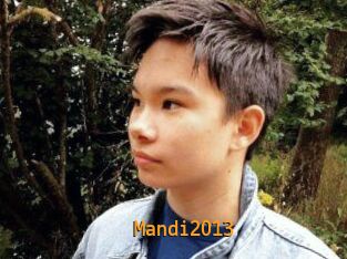 Mandi2013