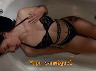 Mapu_sanmiguel