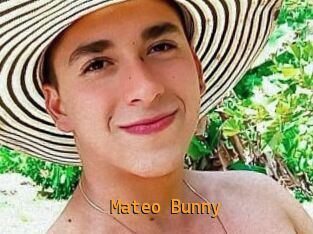 Mateo_Bunny