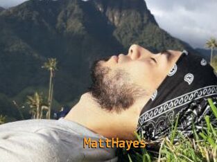 MattHayes