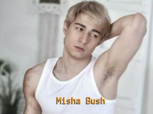 Misha_Bush