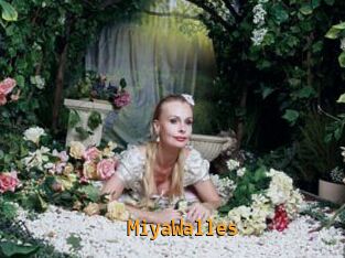 MiyaWalles