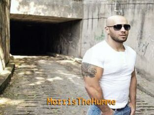 MorrisTheHumme