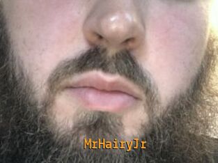 MrHairyJr