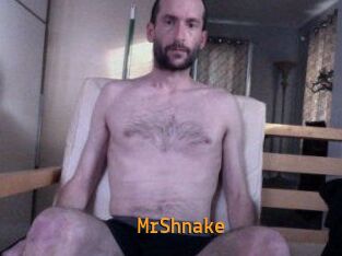 MrShnake