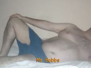 Mr_Hobbs