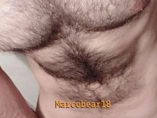 Marcobear18