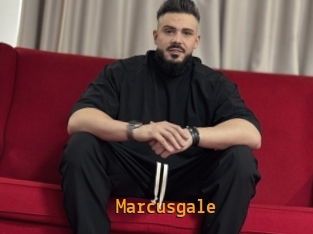 Marcusgale
