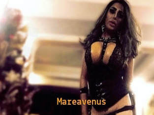 Mareavenus