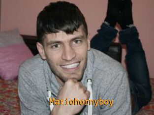 Mariohornyboy