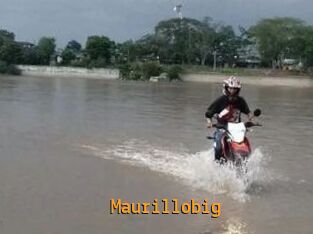 Maurillobig