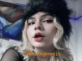 Maxinegenesis